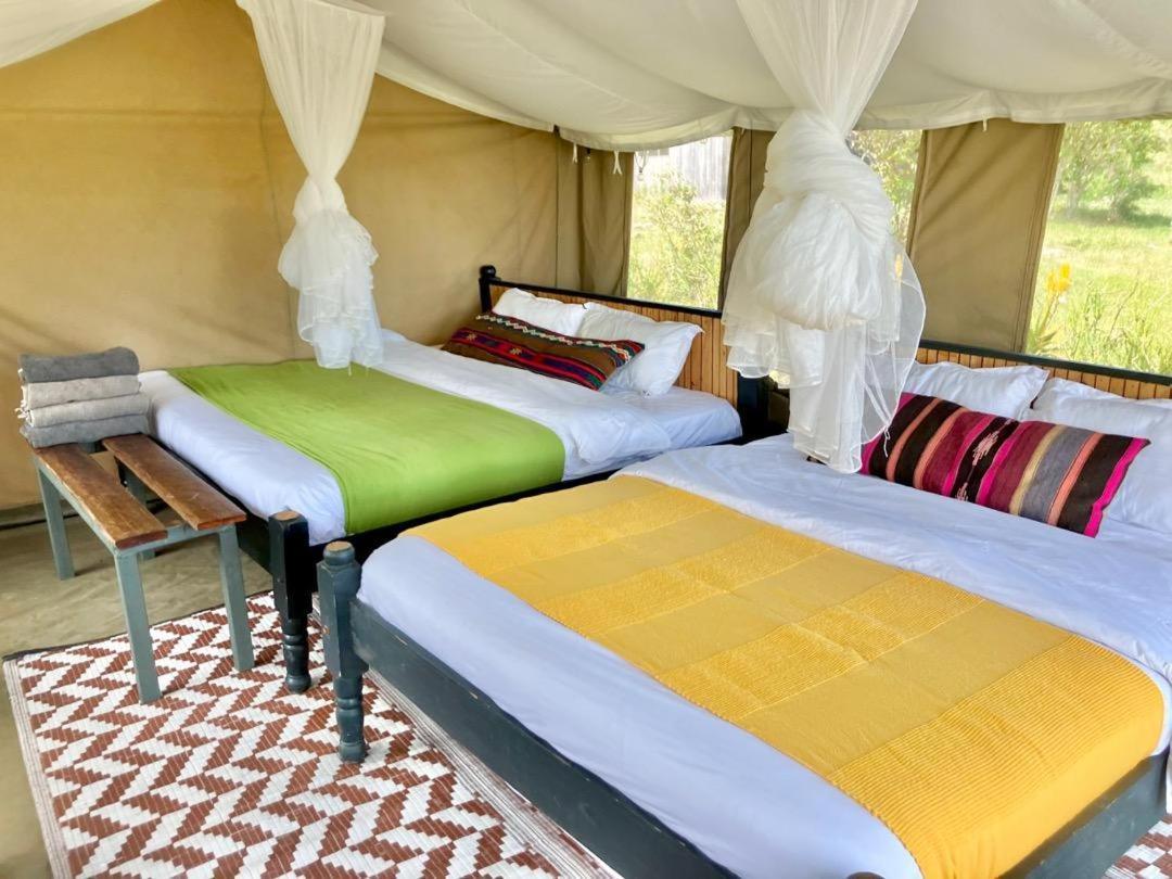 فندق Kambu Mara Camp Sekenani المظهر الخارجي الصورة
